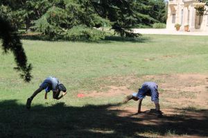 Techniques_15_juillet_008