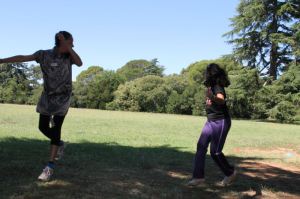Techniques_15_juillet_005