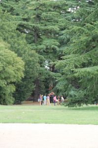 techniques_9-11_juillet_029